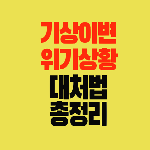 썸네일-기상이변-위기상황-대처법-총정리