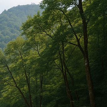 여름 국내 여행지