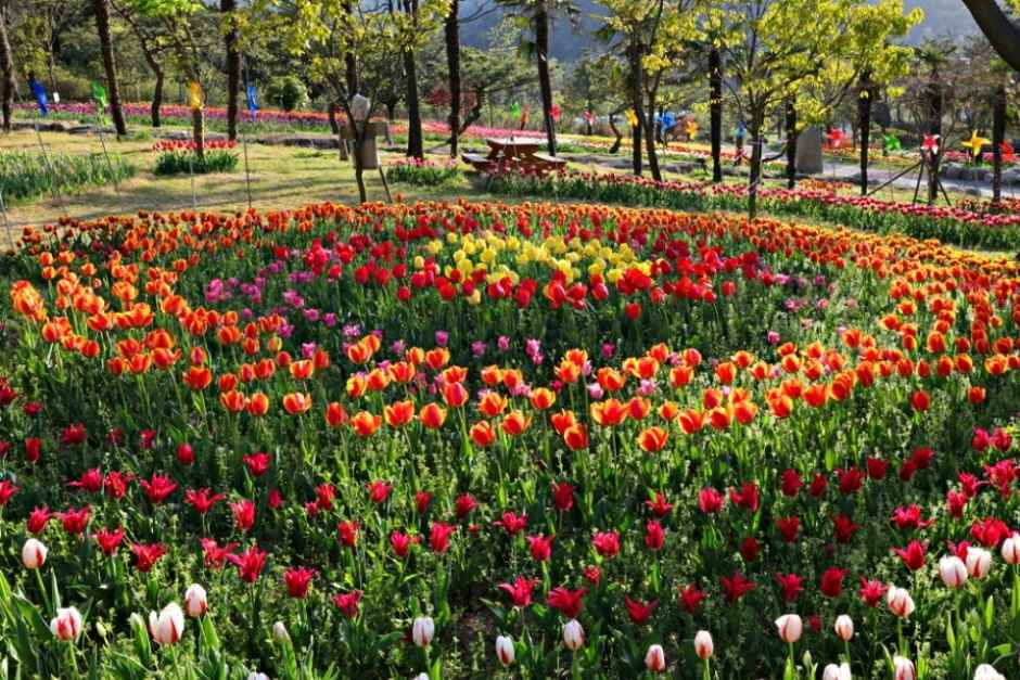 장흥 하늘빛수목원