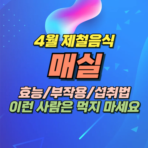 매실 효능 부작용