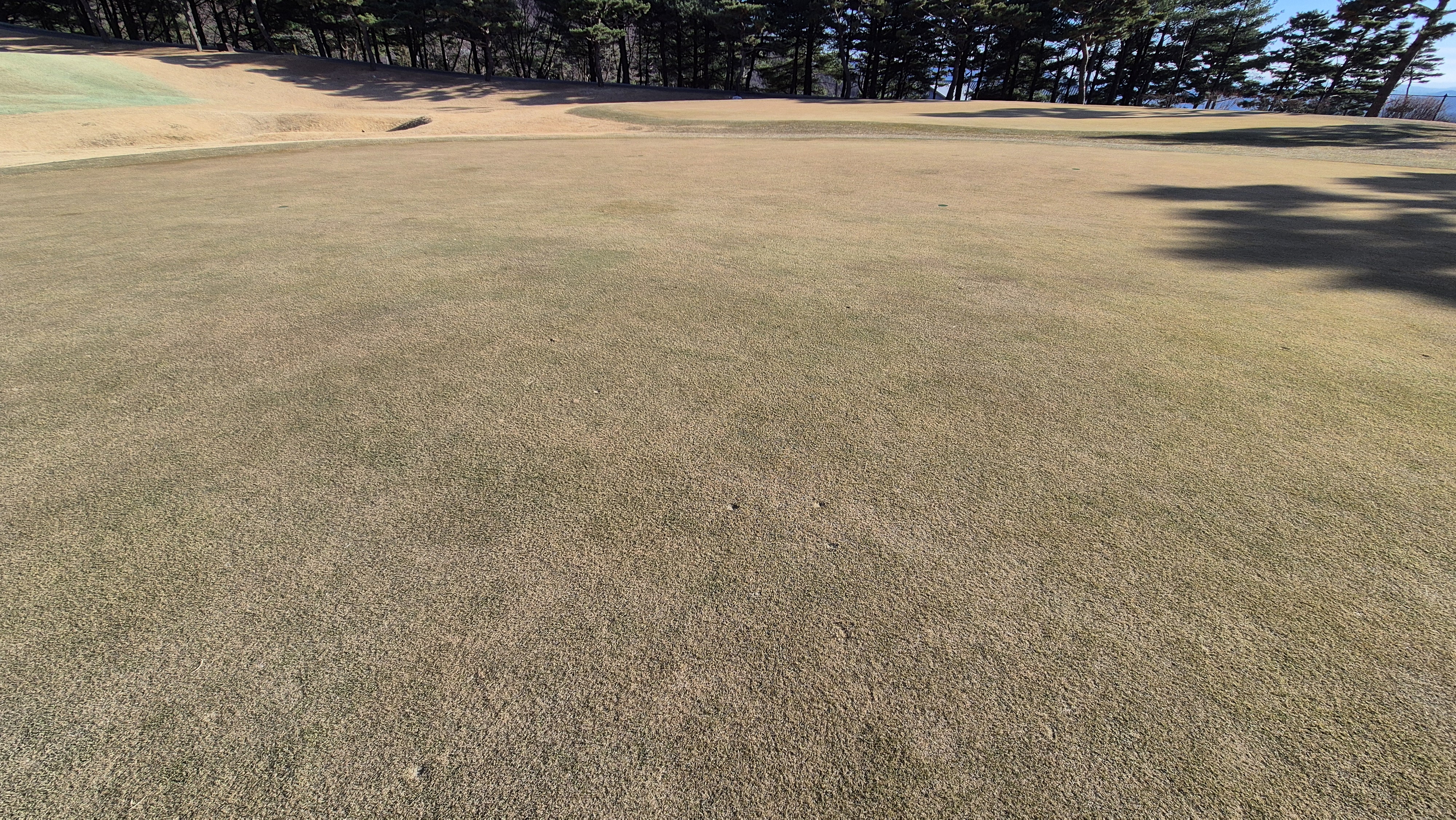 로제비앙gc 로제-비앙 코스 그린 관리 상태