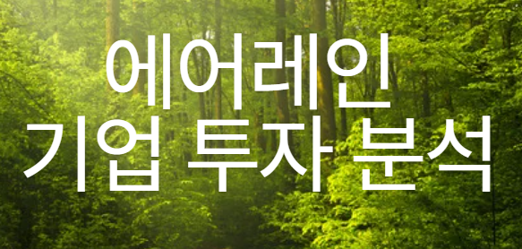 에어레인 기업 투자 분석