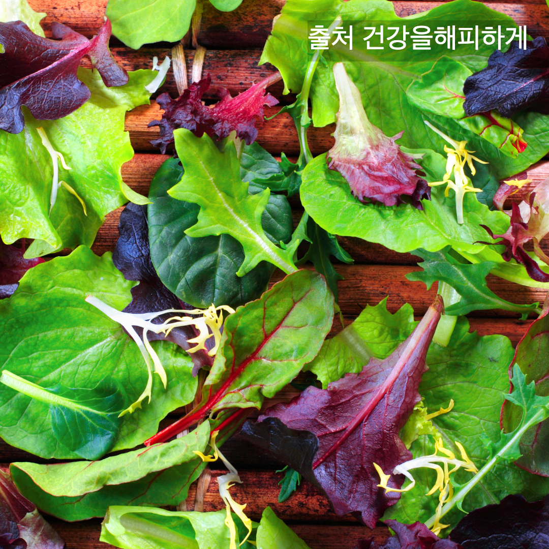 상추의 효능 부작용 칼로리 다이어트할 때 꼭 알아야 할 상극 음식