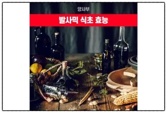 식초 복용법 정리 위장에 미치는 영향 총정리_8