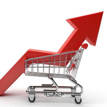 민생회복 지원금 신청