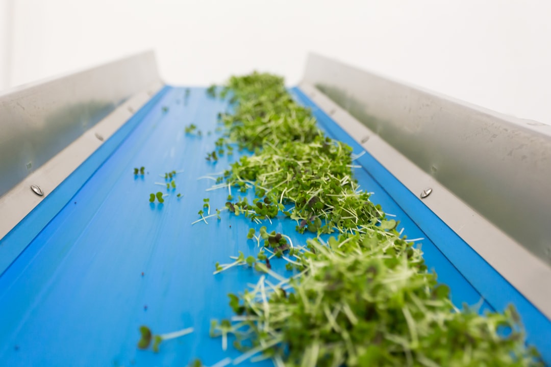 Urban farming.