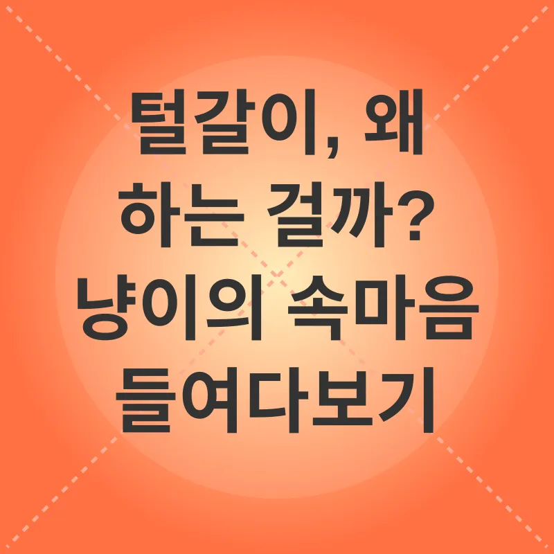 고양이 털갈이 관리_1