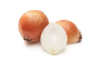 양파 보관법 양파 오래 보관법 3가지 방법_53