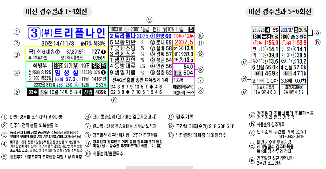 마사일호 트리플나인 경마 예상지 보는법