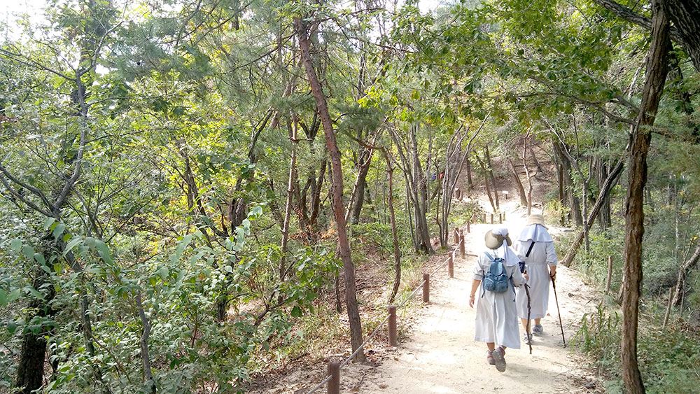 북한산 도봉옛길 도토리 키재기