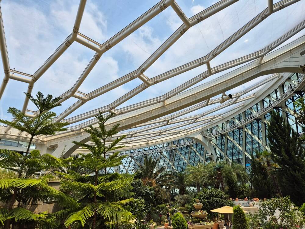 온실 천장 사진 1