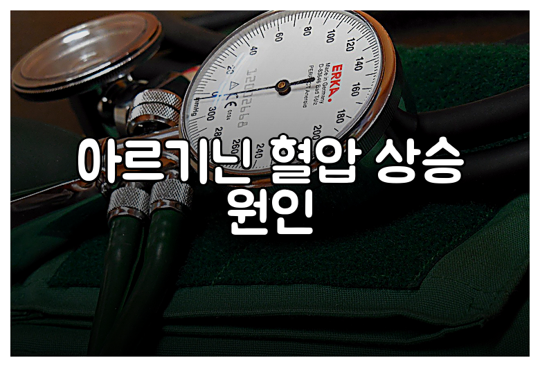 아르기닌 혈압 상승 원인