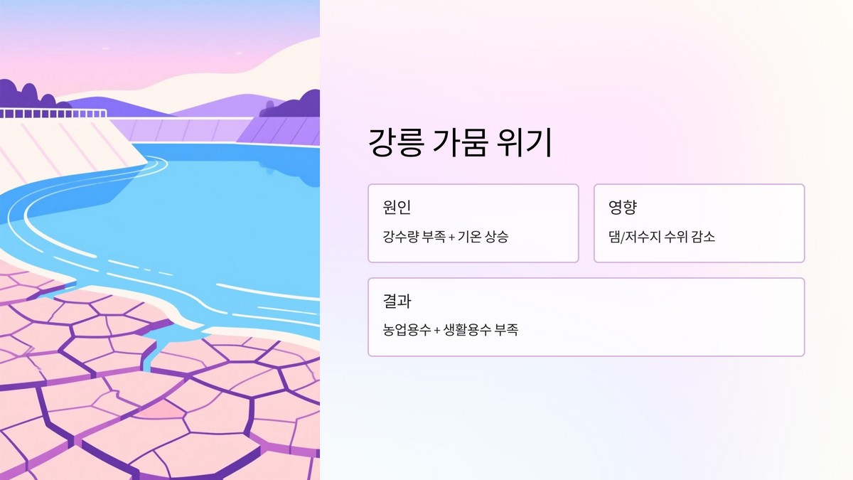 강릉 극한 가뭄 발생 원인과 현황