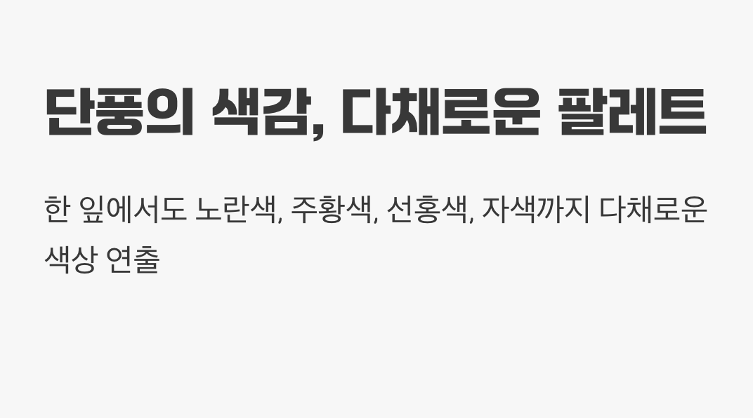 단풍의 색감, 다채로운 팔레트