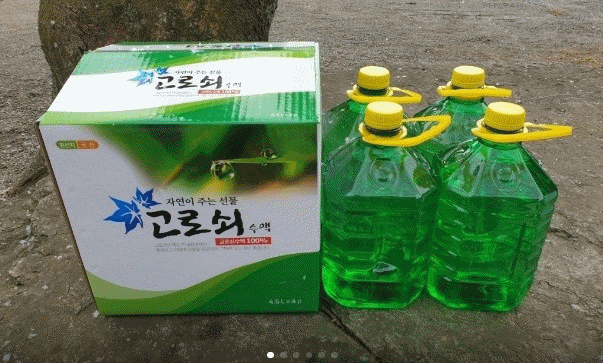 고로쇠물 효능 유통기한 및 보관방법 고로쇠물 섭취방법 주의사항