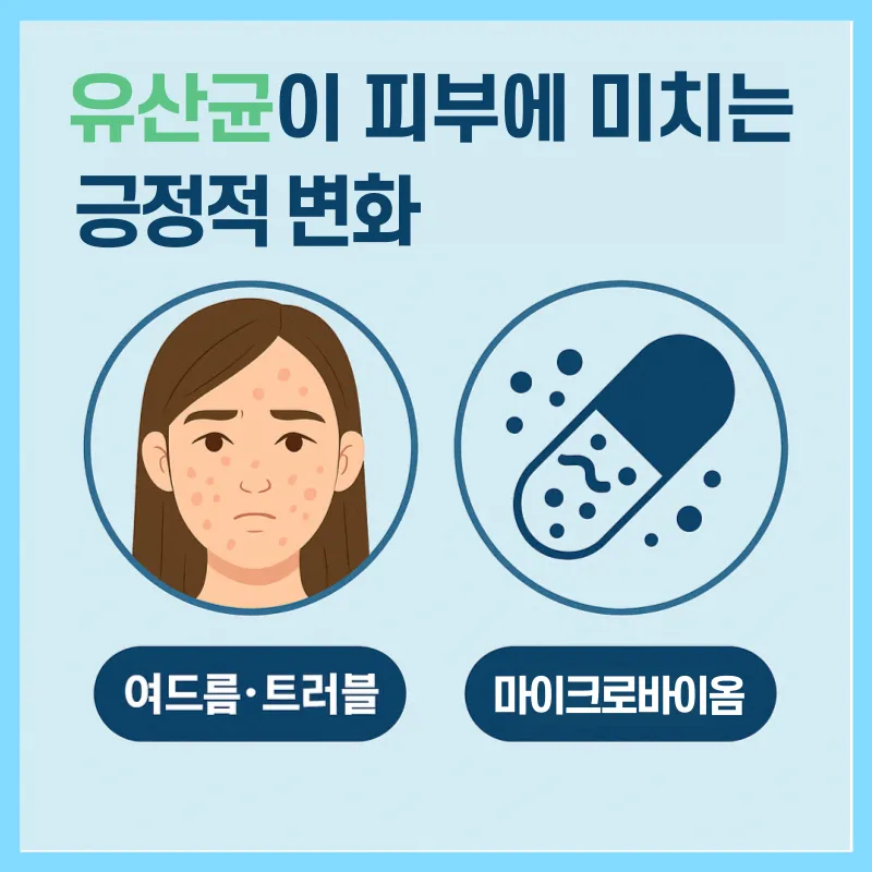 유산균이 피부에 미치는 긍정적 변화: 여드름, 트러블 완화부터 마이크로바이옴 관리까지