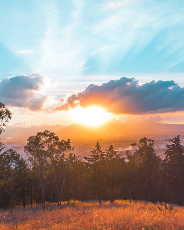 서울 근교 드라이브 스루 해돋이 명소 5