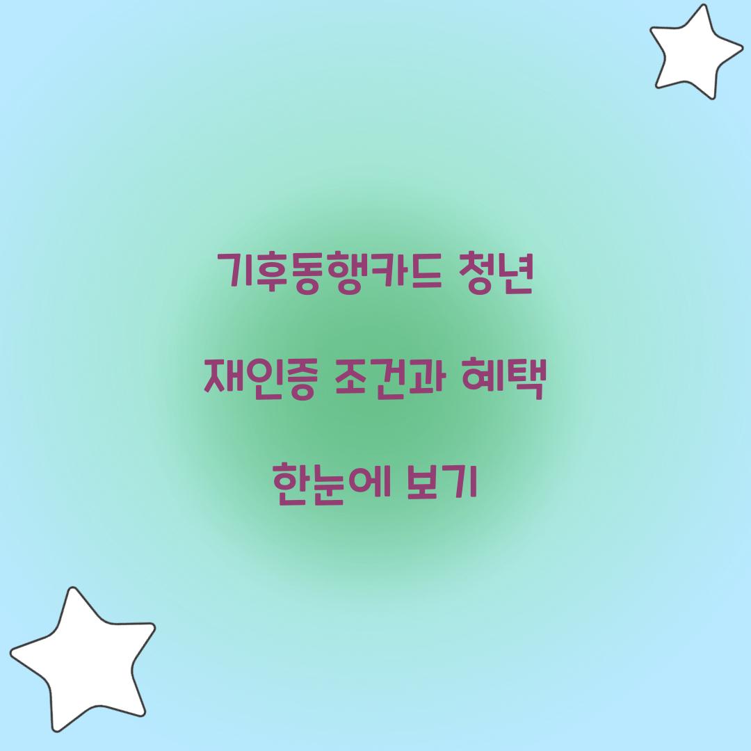 기후동행카드 청년 재인증