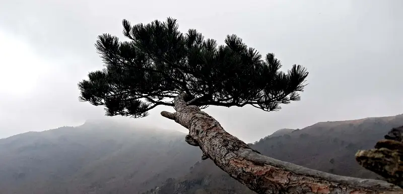 울산 영축산과 신불산