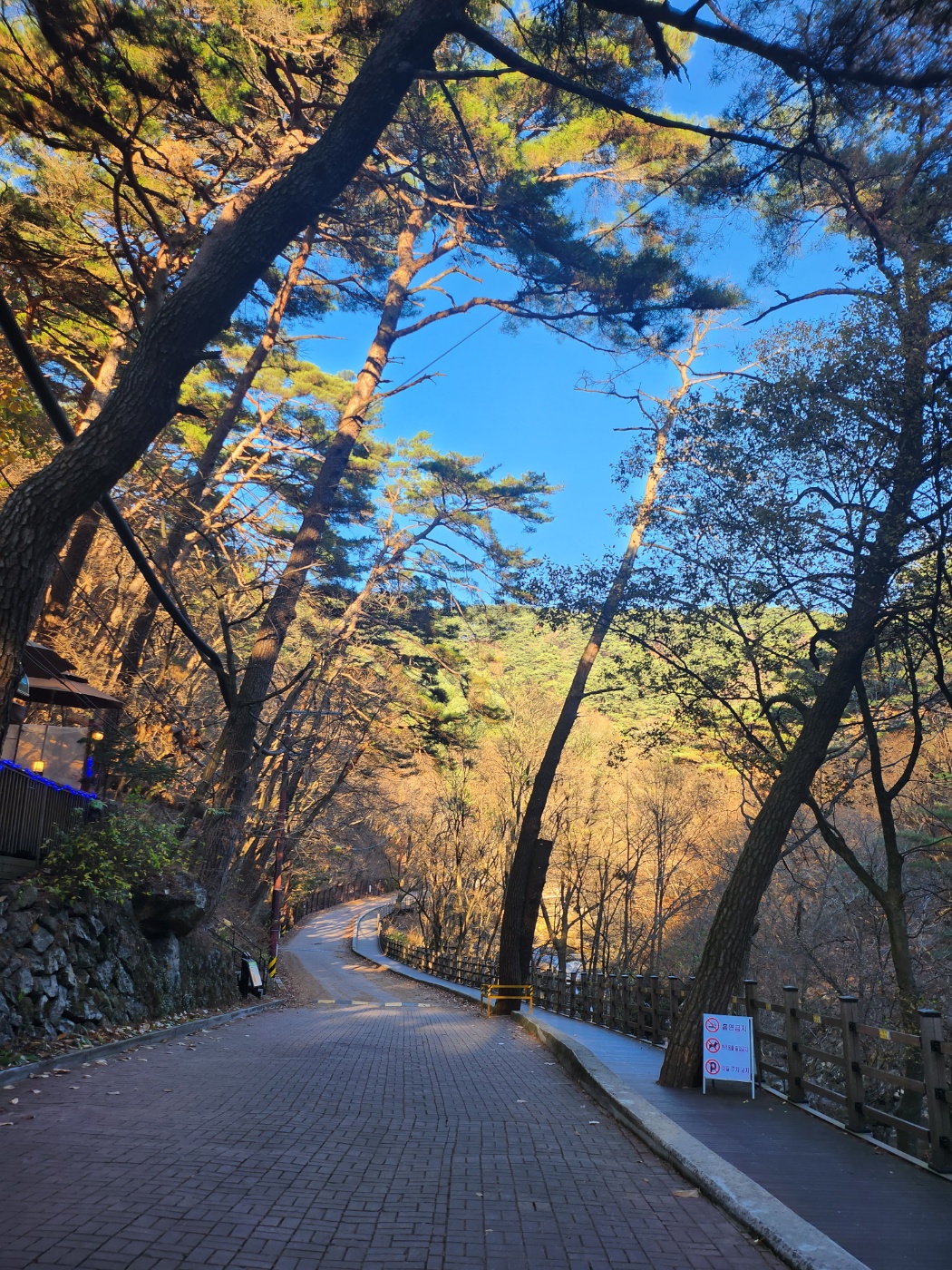 치악산둘레길풍경