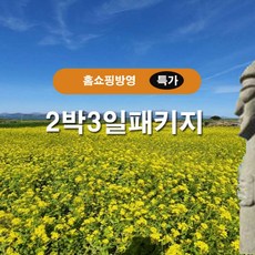  어버이날 선물 추천 BEST 5 - 가족여행 패키지