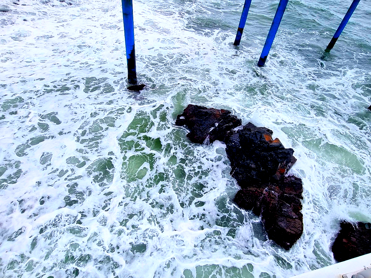 유리바닥과 메쉬바닥: 생생한 바다