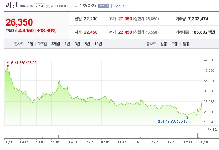 코로나 재확산 관련주 씨젠 주가 전망