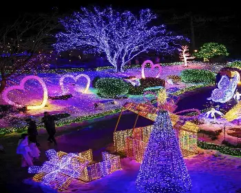 아침고요수목원_17