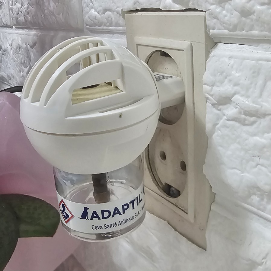 강아지-분리-불안-어댑틸-캄