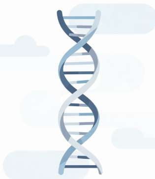 쥐젖이 생기는 이유