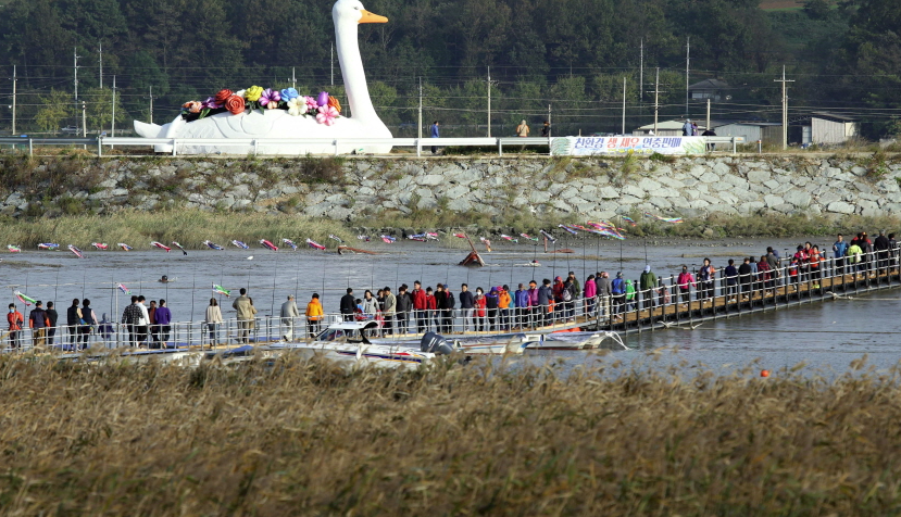 2024 강진만 춤추는 갈대축제 갤러리