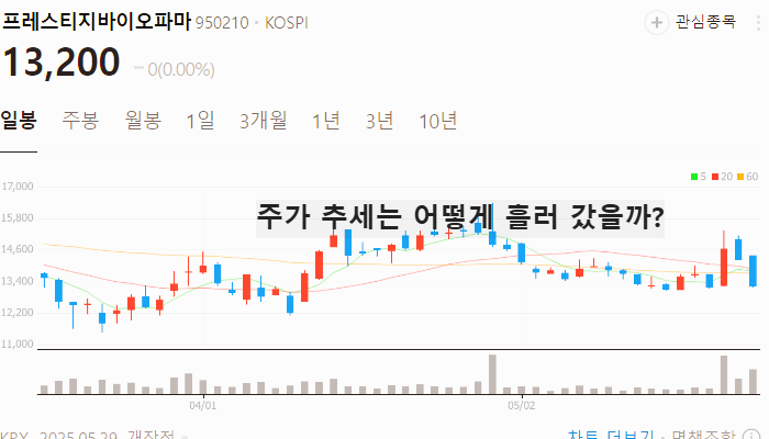 ASCO 관련주 대장주 테마주 수혜주 TOP5