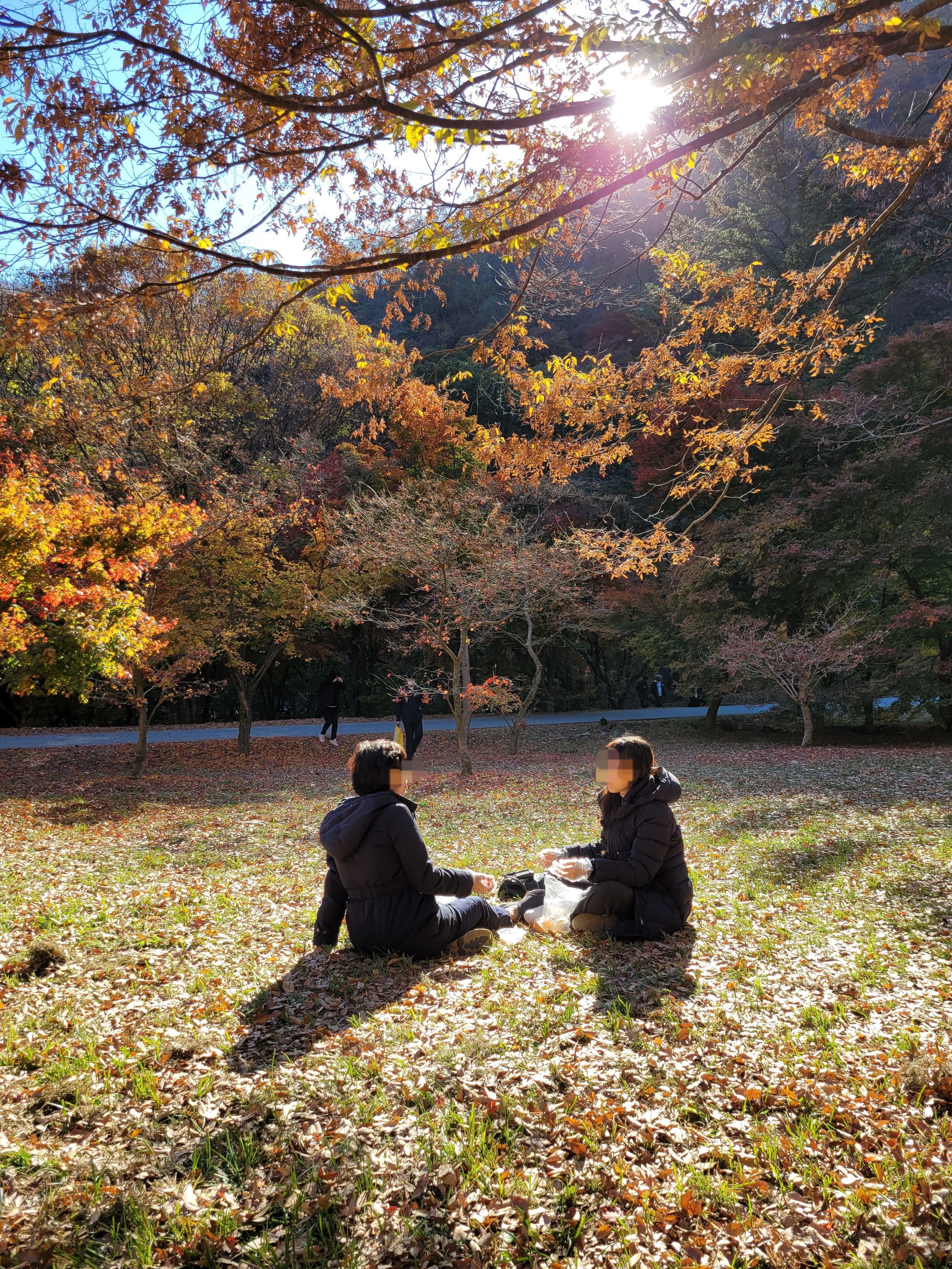 평화로운 가을 오후
