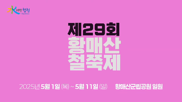 합천 황매산 철죽축제