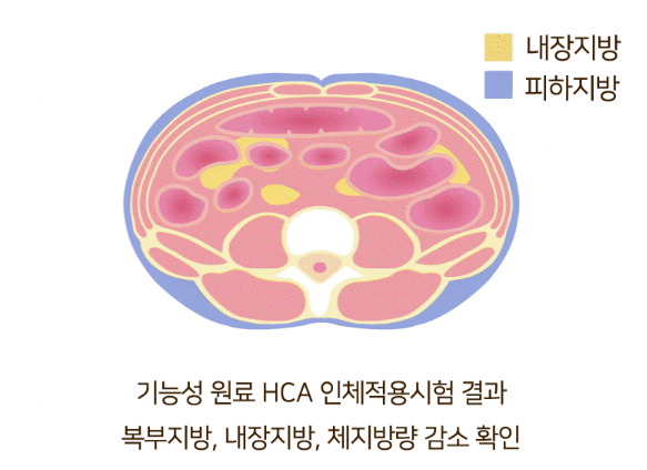 리서처스 투비컷