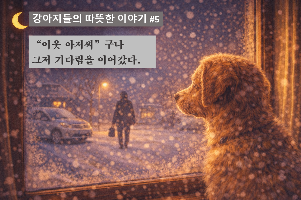 alt="강아지는 그저 기다림을 이어갔다 - 반려견 블로그"