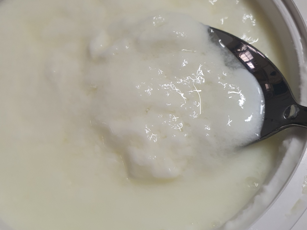 발효 후 바로 단단하게 굳지 않고 풀어진 요거트 상태