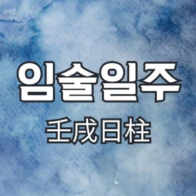 임술일주(壬戌日柱)