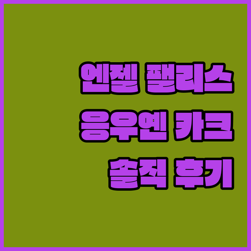 엔젤 팰리스 아파트먼트 응우옌 카크 