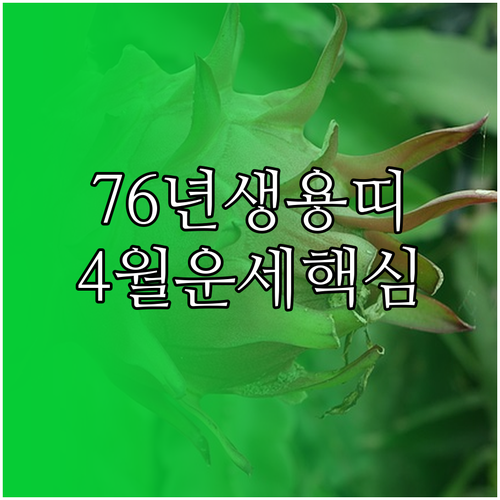 2026년 4월 1976년생 용띠 맞..