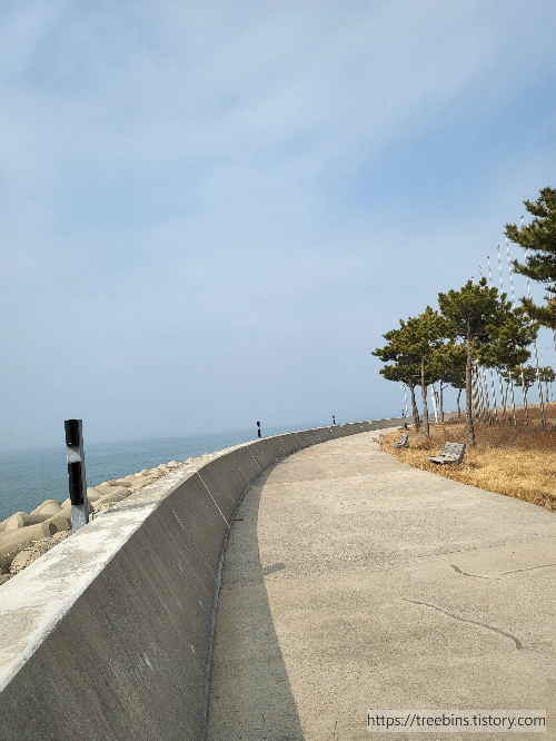 영종도 왕산 마리나 항
