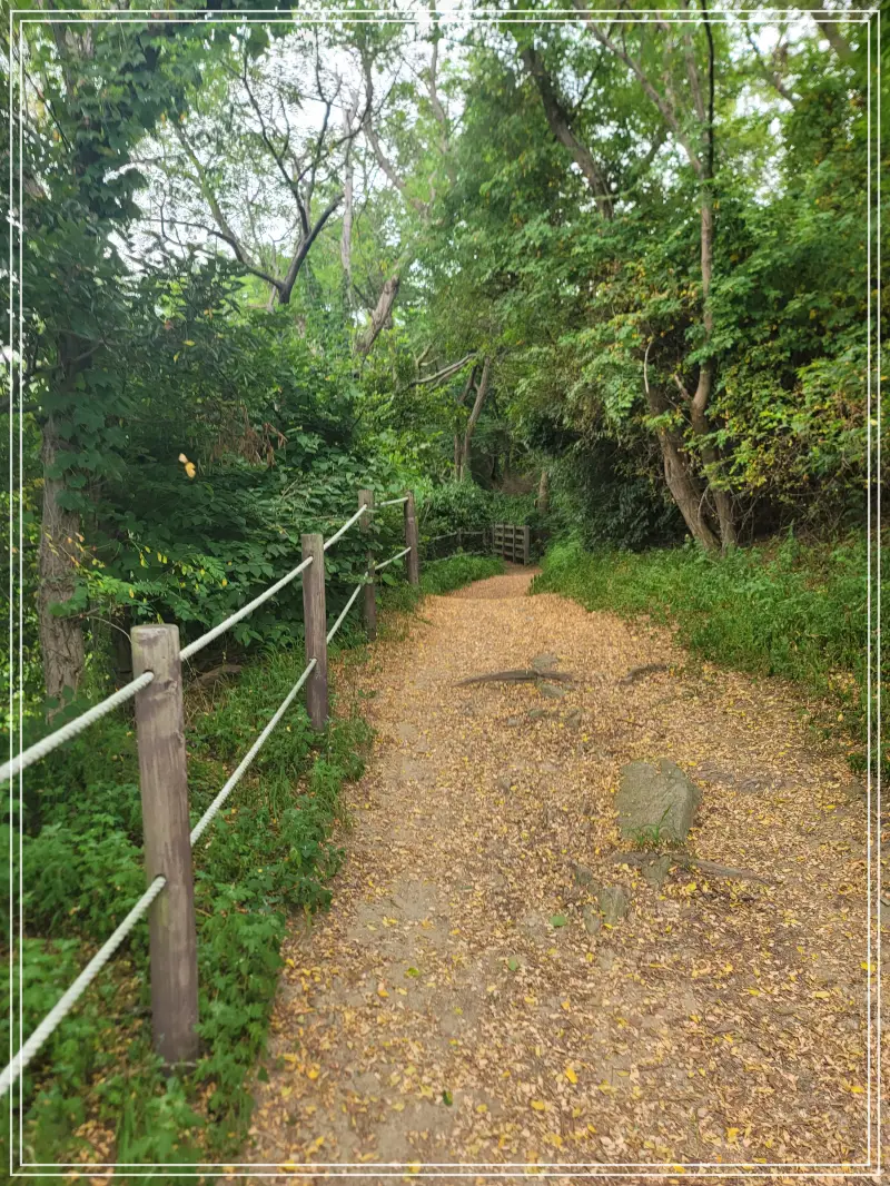 소무의도-둘레길20250714_115610