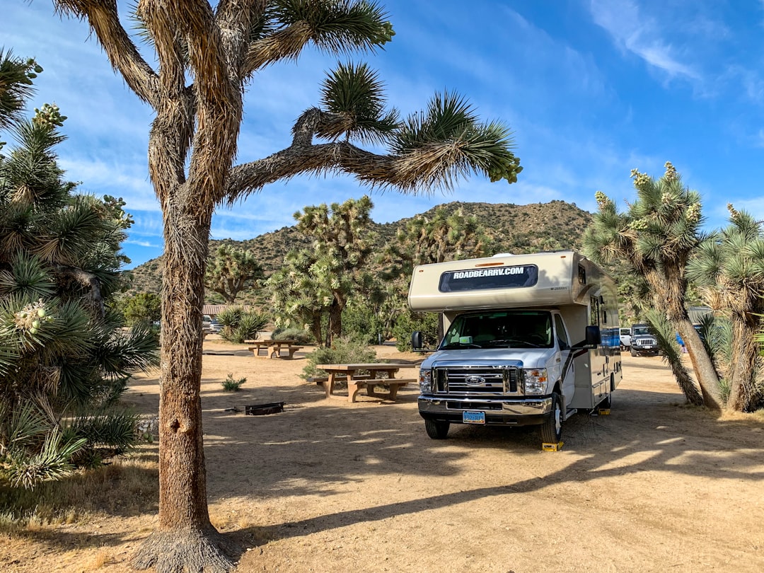 RV