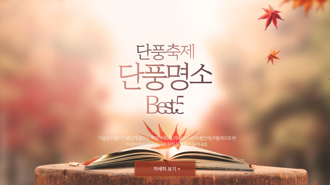 단풍축제-썸네일-이미지