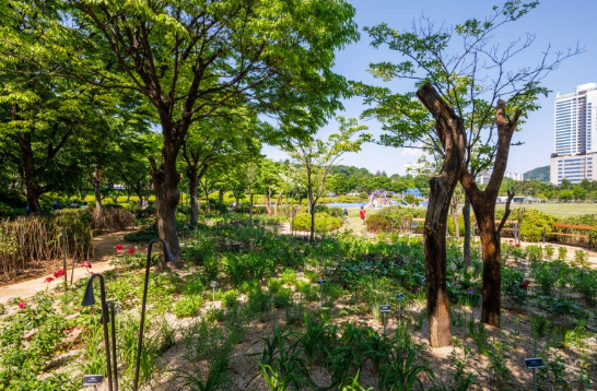 서울국제정원박람회 2025 입장료 가는길 주차 (+개막식 정보)