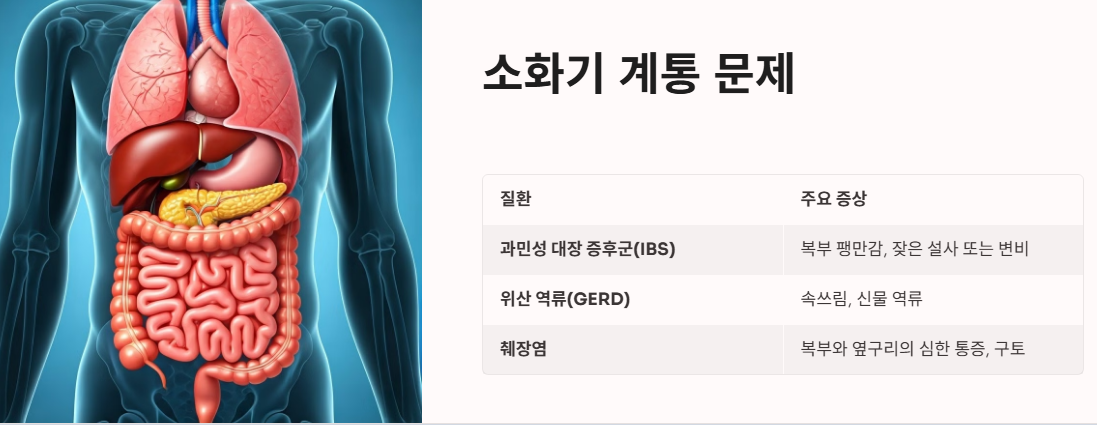 소화기 계통 문제