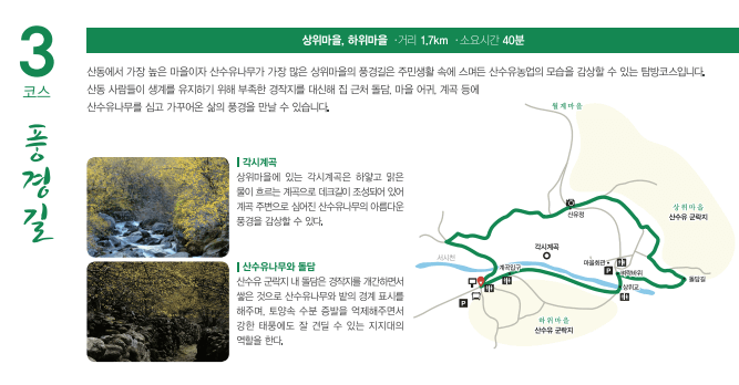 2025 구례 산수유축제 일정·개화시기 총정리