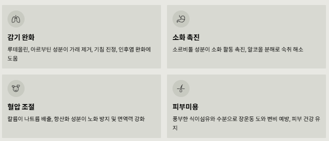 배의 효능과 부작용