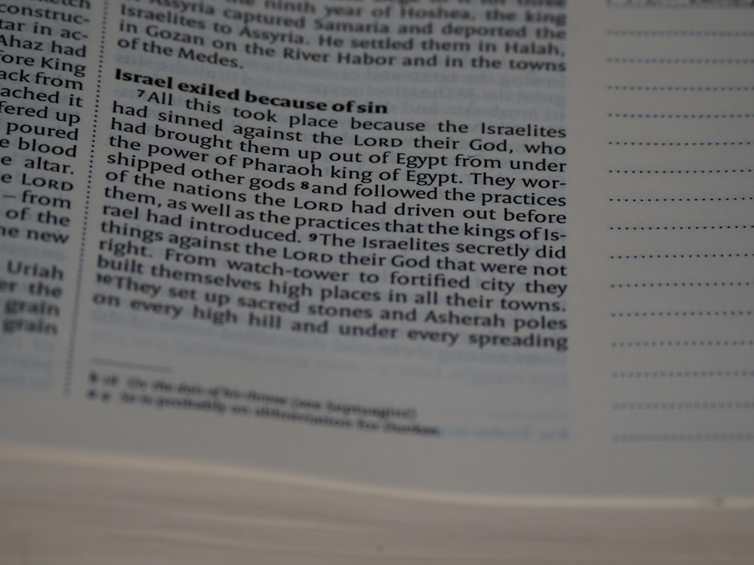 가장 중요한 명사 refund (맥락에 따라 tax refund로 표현하면 더 명확합니다).