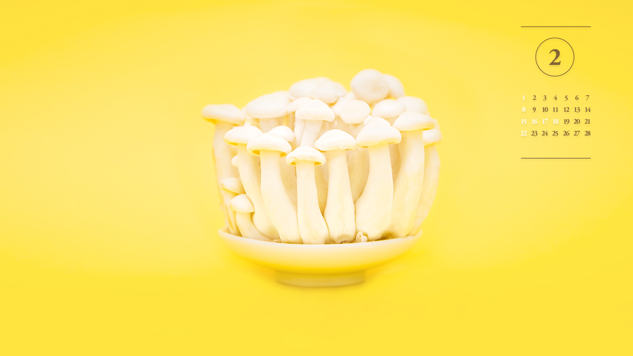 03 버섯 A - 2026년2월 달력배경화면